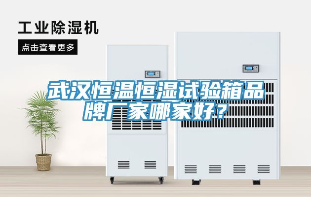 武漢恒溫恒濕試驗箱品牌廠家哪家好？