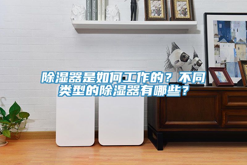 除濕器是如何工作的？不同類型的除濕器有哪些？