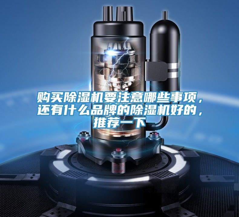 購買除濕機(jī)要注意哪些事項(xiàng)，還有什么品牌的除濕機(jī)好的，推薦一下