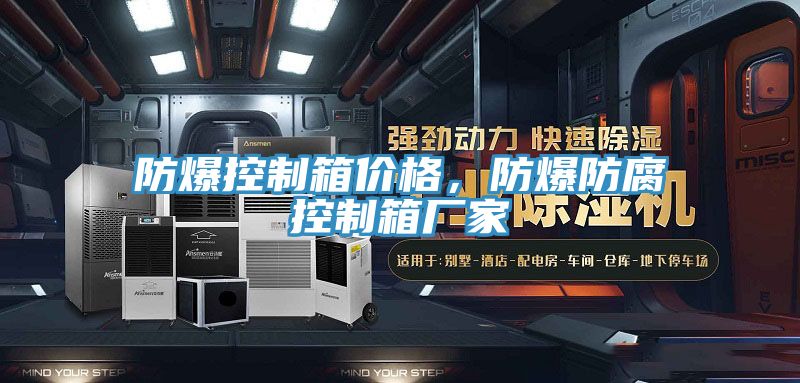 防爆控制箱價格,防爆防腐控制箱廠家