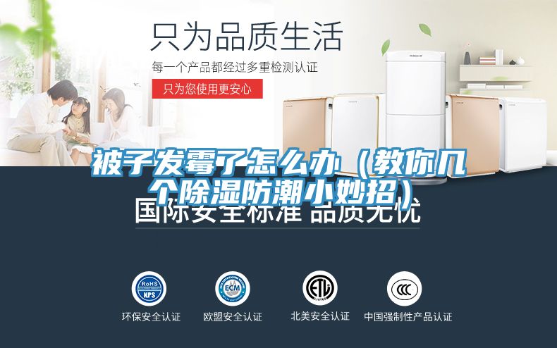 被子發(fā)霉了怎么辦（教你幾個(gè)除濕防潮小妙招）