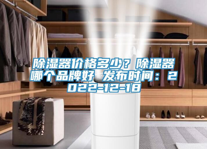 除濕器價格多少？除濕器哪個品牌好 發布時間：2022-12-18