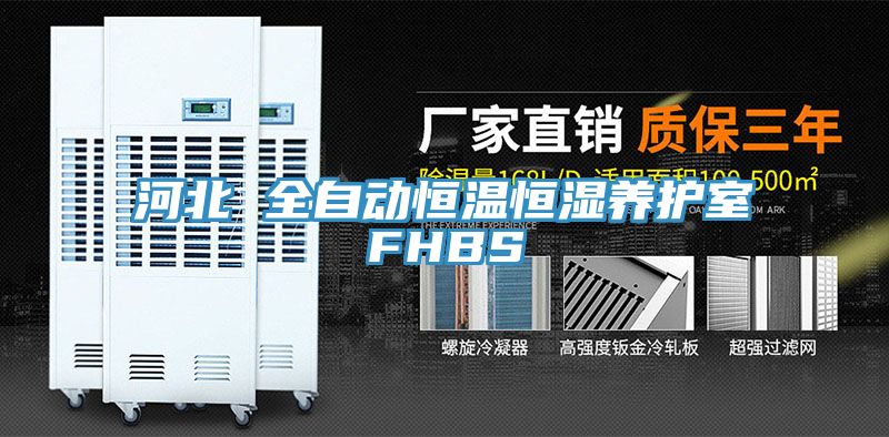 河北 全自動恒溫恒濕養護室FHBS