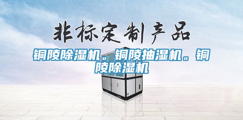 銅陵除濕機。銅陵抽濕機。銅陵除濕機