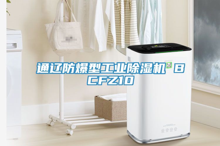 通遼防爆型工業(yè)除濕機(jī) BCFZ10