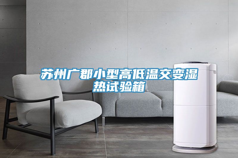 蘇州廣郡小型高低溫交變濕熱試驗箱
