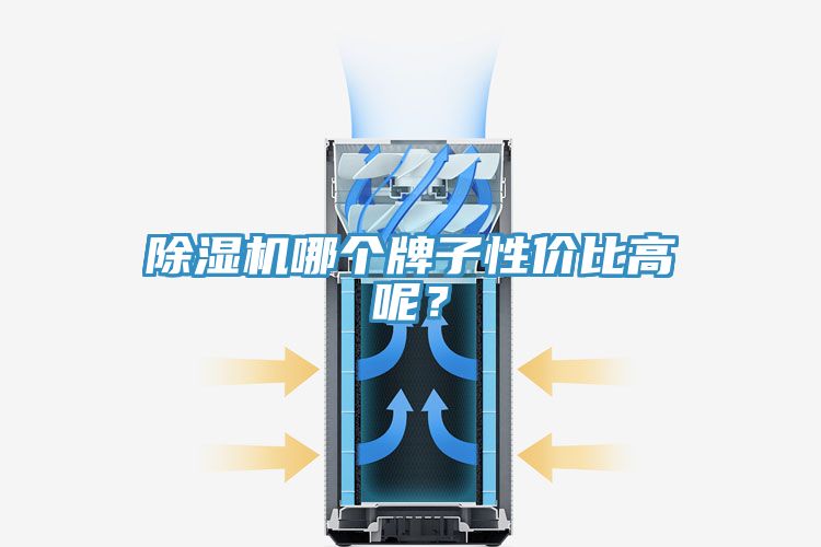 除濕機(jī)哪個(gè)牌子性?xún)r(jià)比高呢？