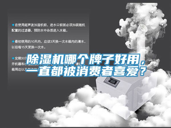 除濕機哪個牌子好用，一直都被消費者喜愛？