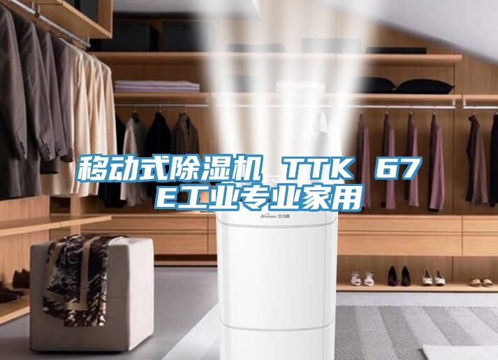 移動(dòng)式除濕機(jī) TTK 67 E工業(yè)專(zhuān)業(yè)家用