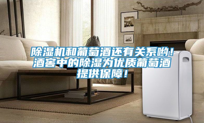 除濕機和葡萄酒還有關系喲！酒窖中的除濕為優質葡萄酒提供保障！