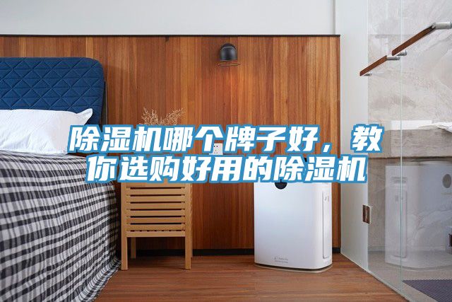 除濕機哪個牌子好，教你選購好用的除濕機