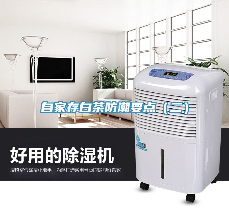 自家存白茶防潮要點（二）