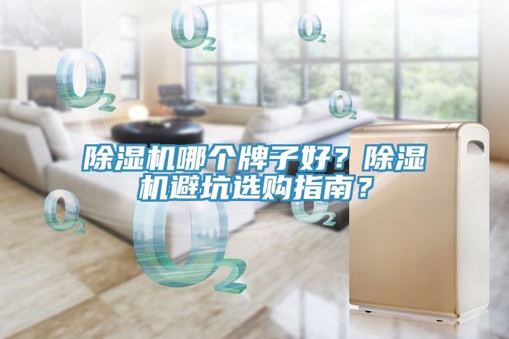 除濕機(jī)哪個(gè)牌子好？除濕機(jī)避坑選購(gòu)指南？