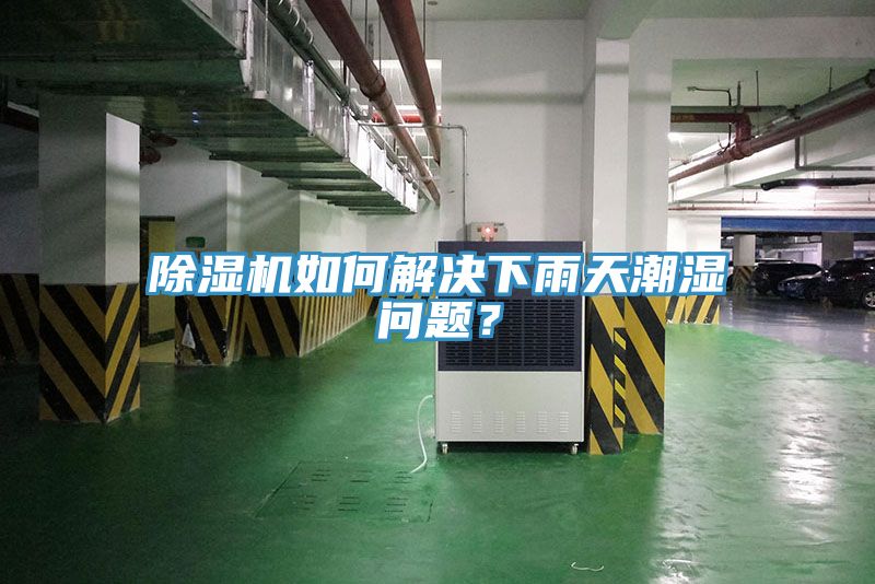除濕機如何解決下雨天潮濕問題？