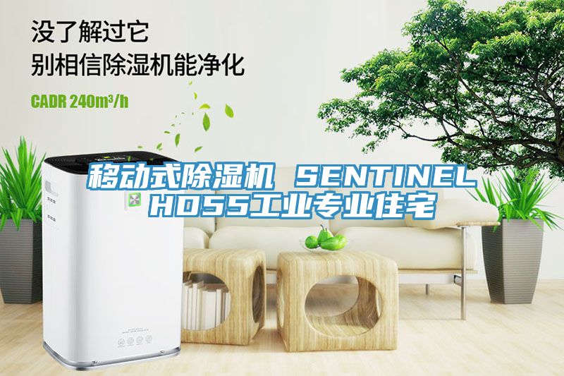 移動(dòng)式除濕機(jī) SENTINEL HD55工業(yè)專(zhuān)業(yè)住宅