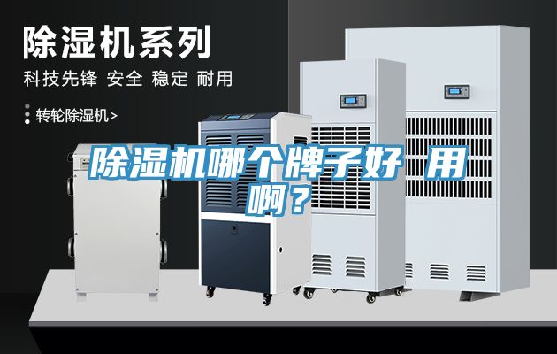 除濕機哪個牌子好 用啊？