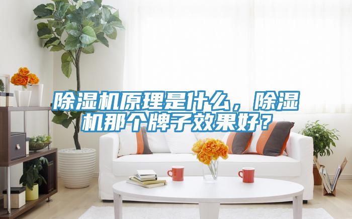 除濕機原理是什么,除濕機那個牌子效果好?