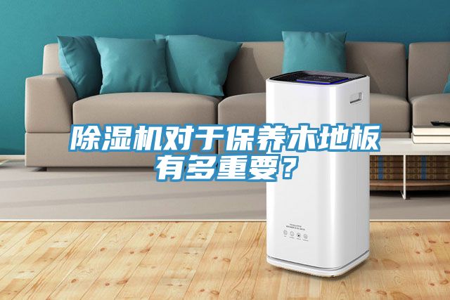 除濕機對于保養木地板有多重要？