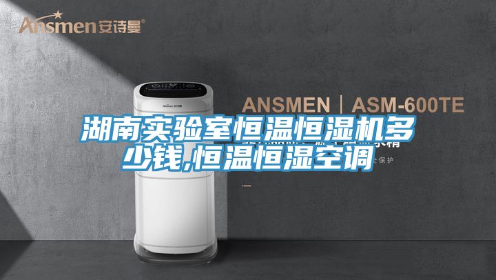 湖南實驗室恒溫恒濕機多少錢,恒溫恒濕空調