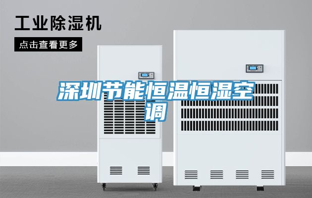 深圳節能恒溫恒濕空調