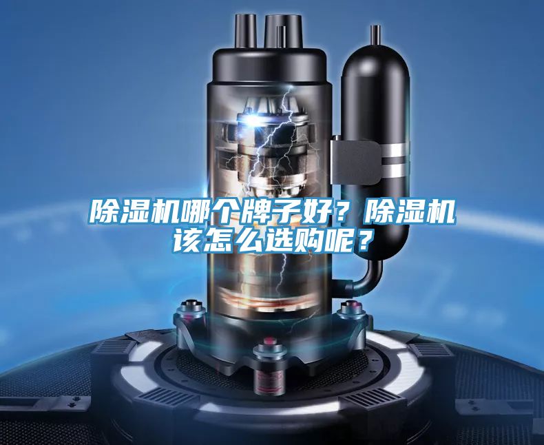 除濕機(jī)哪個(gè)牌子好？除濕機(jī)該怎么選購(gòu)呢？