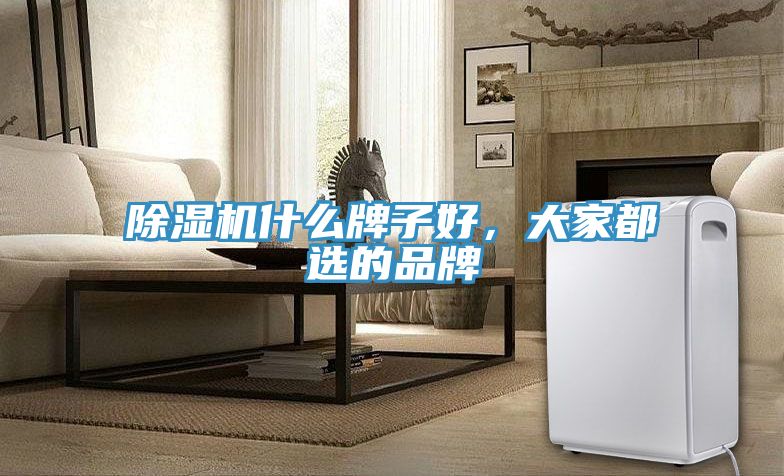 除濕機什么牌子好，大家都選的品牌