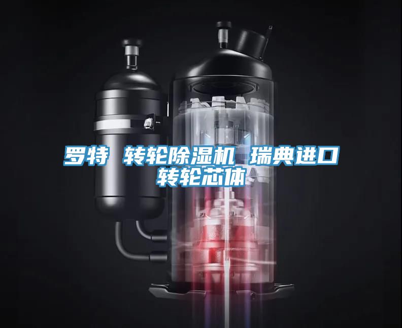 羅特 轉輪除濕機 瑞典進口轉輪芯體