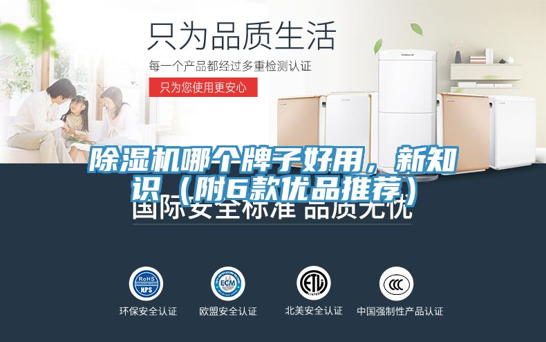 除濕機哪個牌子好用，新知識（附6款優品推薦）