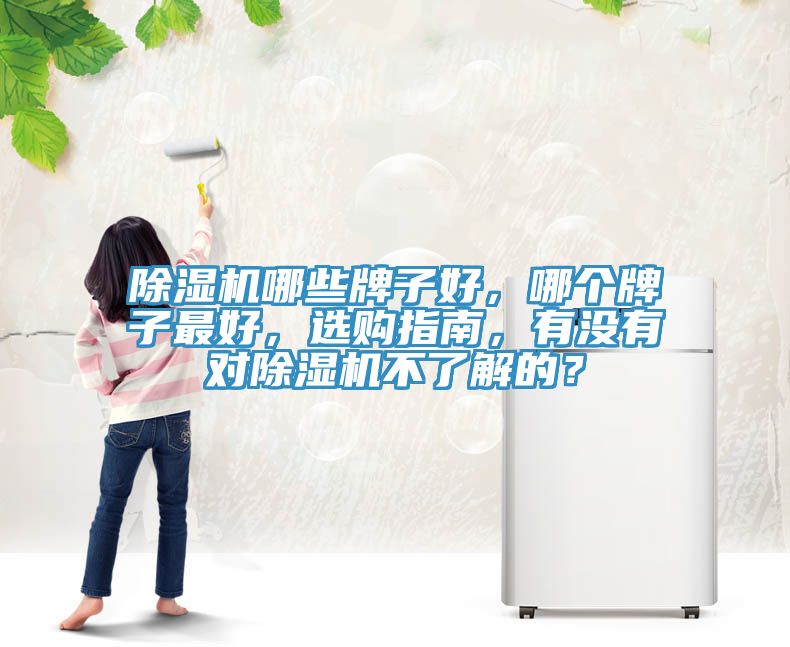 除濕機(jī)哪些牌子好，哪個(gè)牌子最好，選購指南，有沒有對除濕機(jī)不了解的？