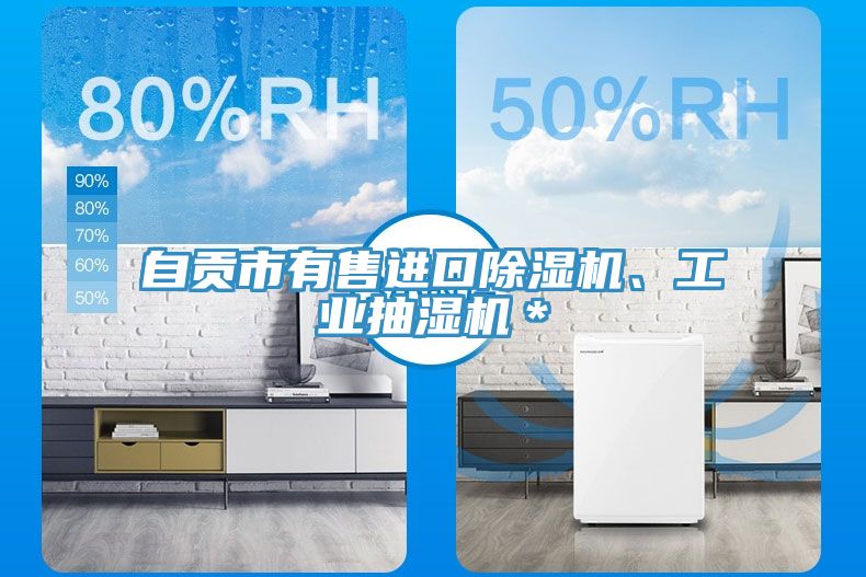 自貢市有售進口除濕機、工業(yè)抽濕機＊