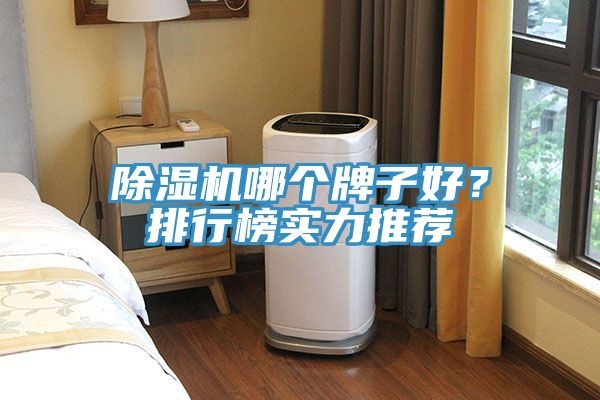除濕機哪個牌子好？排行榜實力推薦