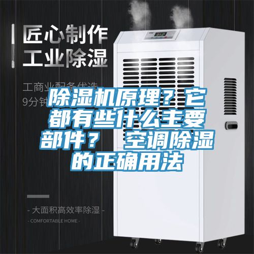 除濕機原理?它都有些什么主要部件? 空調除濕的正確用法