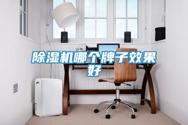 除濕機(jī)哪個(gè)牌子效果好