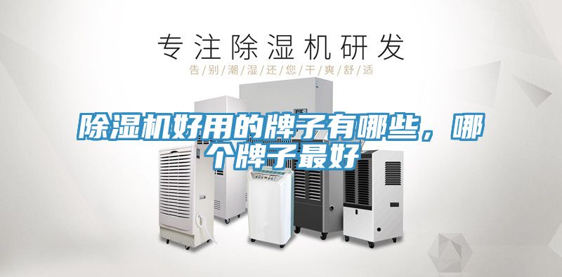 除濕機好用的牌子有哪些，哪個牌子最好