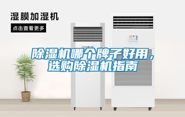 除濕機哪個牌子好用，選購除濕機指南