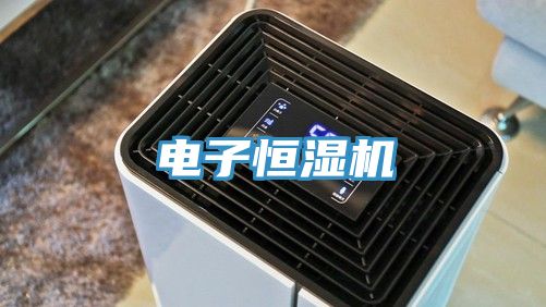 電子恒濕機(jī)