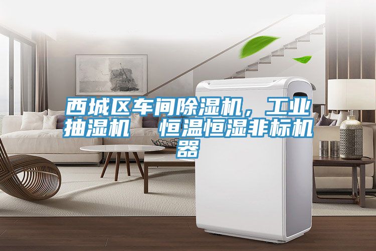西城區(qū)車間除濕機(jī)，工業(yè)抽濕機(jī)  恒溫恒濕非標(biāo)機(jī)器