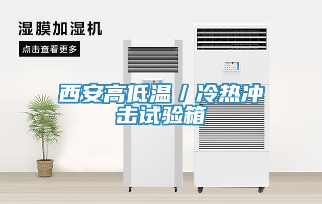 西安高低溫/冷熱沖擊試驗箱