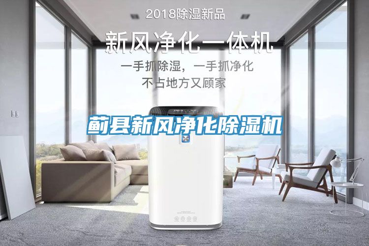 薊縣新風凈化除濕機