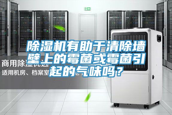 除濕機(jī)有助于清除墻壁上的霉菌或霉菌引起的氣味嗎？