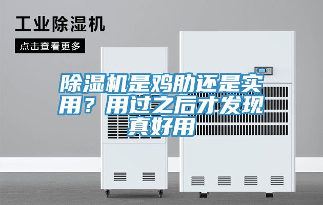 除濕機(jī)是雞肋還是實(shí)用？用過之后才發(fā)現(xiàn)真好用