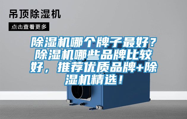 除濕機哪個牌子最好？除濕機哪些品牌比較好，推薦優質品牌+除濕機精選！