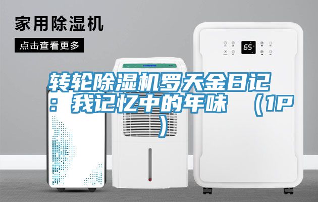 轉(zhuǎn)輪除濕機羅天金日記:我記憶中的年味 (1P)