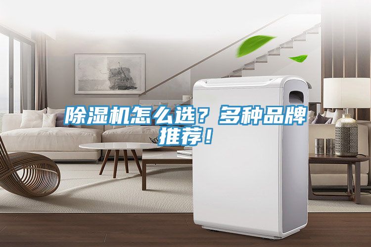 除濕機(jī)怎么選？多種品牌推薦！
