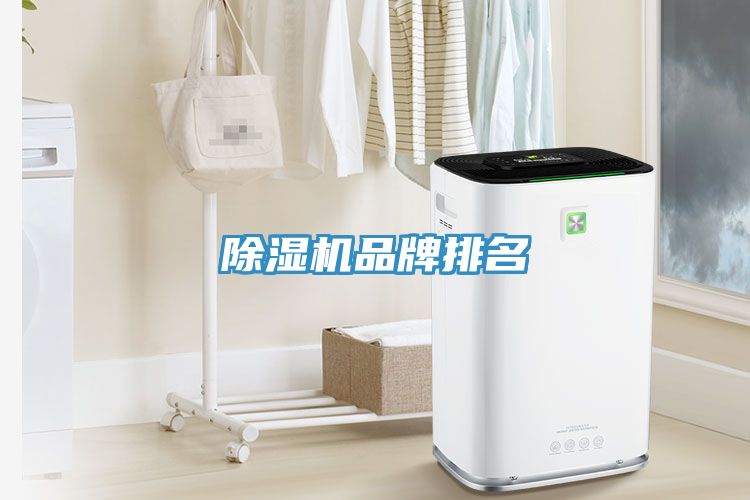 除濕機(jī)品牌排名