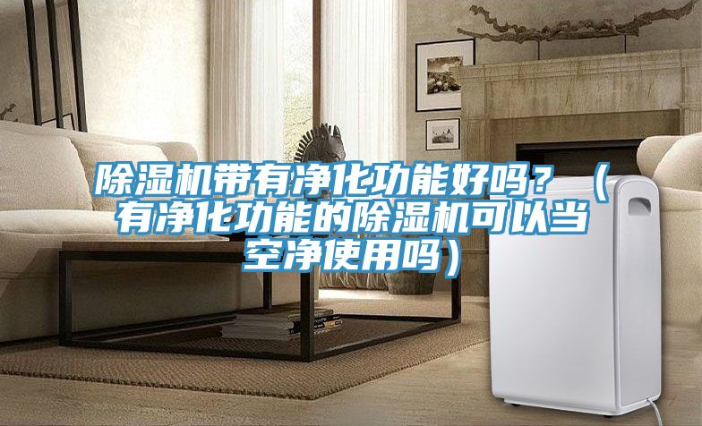 除濕機帶有凈化功能好嗎?(有凈化功能的除濕機可以當空凈使用嗎)