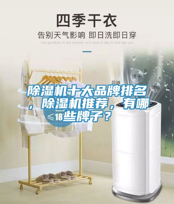 除濕機十大品牌排名，除濕機推薦，有哪些牌子？