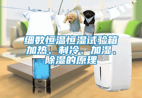 細數恒溫恒濕試驗箱加熱、制冷、加濕、除濕的原理