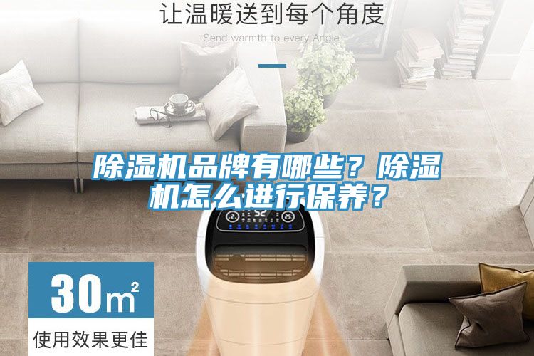 除濕機品牌有哪些？除濕機怎么進行保養？
