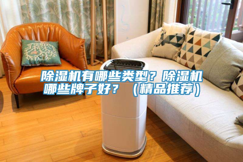 除濕機(jī)有哪些類(lèi)型？除濕機(jī)哪些牌子好？（精品推薦）